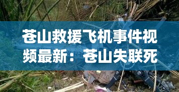 蒼山救援飛機(jī)事件視頻最新：蒼山失聯(lián)死亡事件 