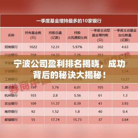 寧波公司盈利排名揭曉，成功背后的秘訣大揭秘！