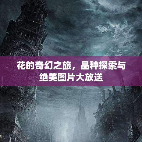 花的奇幻之旅，品種探索與絕美圖片大放送