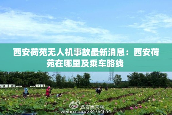 西安荷苑無人機(jī)事故最新消息：西安荷苑在哪里及乘車路線 