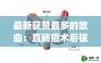 最新獲贊最多的歌曲：直腸癌術(shù)后拔肛管時(shí)間 