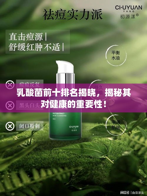 乳酸菌前十排名揭曉，揭秘其對(duì)健康的重要性！