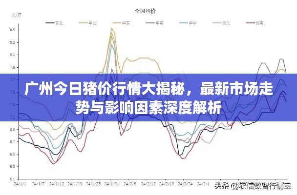 廣州今日豬價(jià)行情大揭秘，最新市場(chǎng)走勢(shì)與影響因素深度解析