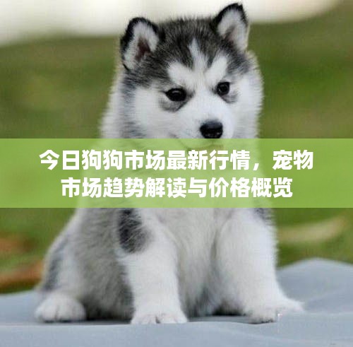 花香鳥語 第3頁