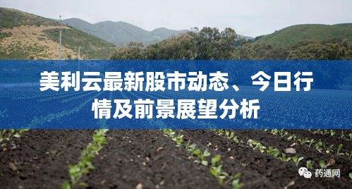 美利云最新股市動(dòng)態(tài)、今日行情及前景展望分析