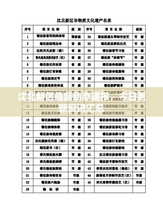 沈北新區(qū)最新動態(tài)通報，今日更新資訊匯總