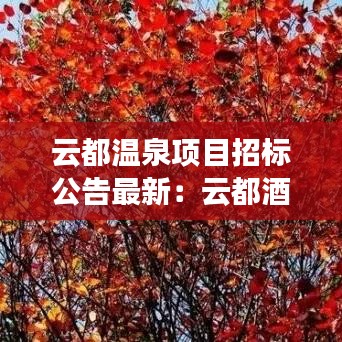 云都溫泉項目招標(biāo)公告最新：云都酒店電話號碼是多少 