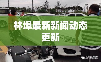 林埠最新新聞動(dòng)態(tài)更新