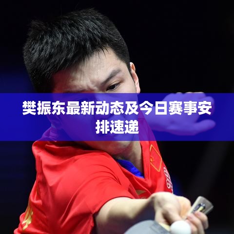 樊振東最新動態(tài)及今日賽事安排速遞
