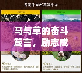馬與草的奮斗箴言，勵(lì)志成長(zhǎng)的力量