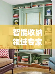 智能收納領域?qū)＜颐麊巫钚拢褐悄芗揖邮占{ 