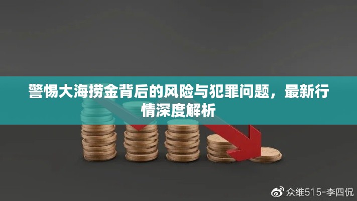 警惕大海撈金背后的風(fēng)險(xiǎn)與犯罪問題，最新行情深度解析