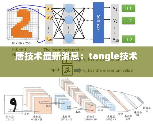 唐技術(shù)最新消息：tangle技術(shù) 