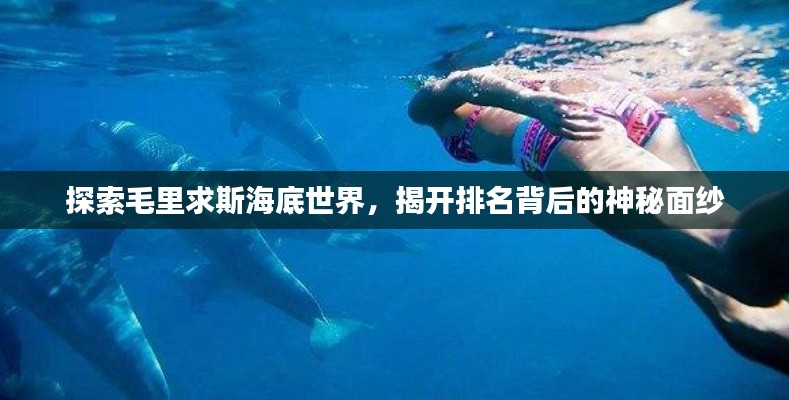 探索毛里求斯海底世界，揭開排名背后的神秘面紗