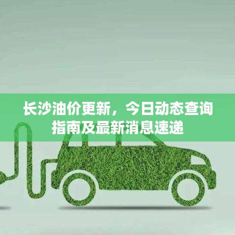 長(zhǎng)沙油價(jià)更新，今日動(dòng)態(tài)查詢指南及最新消息速遞