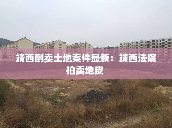 靖西倒賣土地案件最新：靖西法院拍賣地皮 