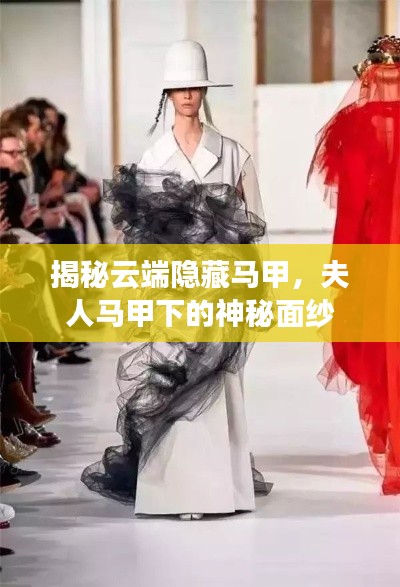 揭秘云端隱藏馬甲，夫人馬甲下的神秘面紗