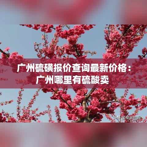 廣州硫磺報(bào)價(jià)查詢最新價(jià)格：廣州哪里有硫酸賣 