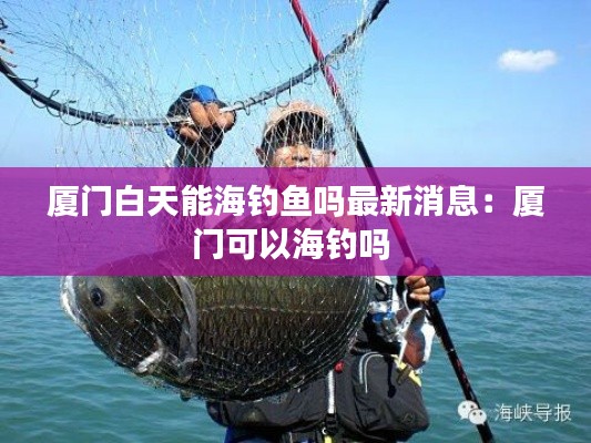 廈門白天能海釣魚嗎最新消息：廈門可以海釣嗎 