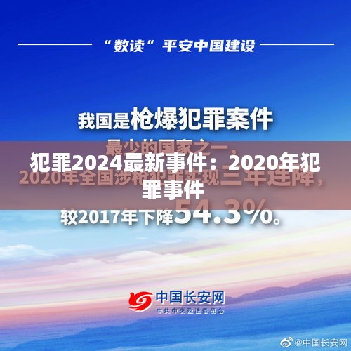 犯罪2024最新事件：2020年犯罪事件 