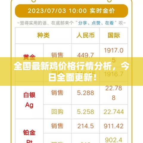 全國最新雞價(jià)格行情分析，今日全面更新！