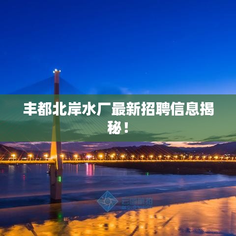 豐都北岸水廠最新招聘信息揭秘！