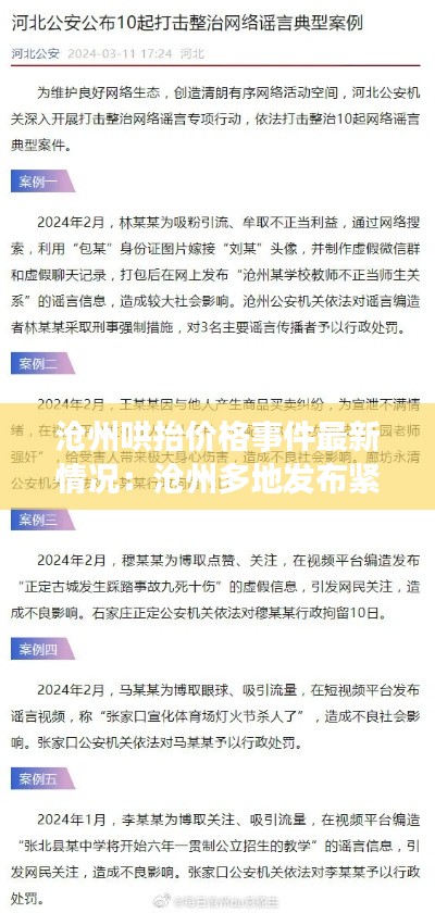 滄州哄抬價(jià)格事件最新情況：滄州多地發(fā)布緊急通告 