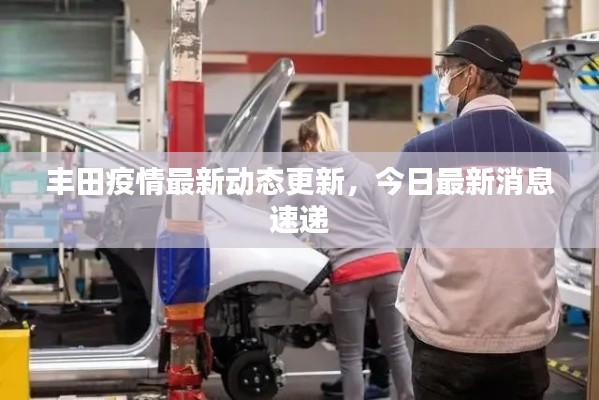 豐田疫情最新動態(tài)更新，今日最新消息速遞