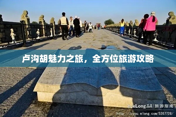 盧溝胡魅力之旅，全方位旅游攻略