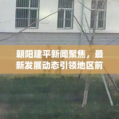 朝陽建平新聞聚焦，最新發(fā)展動態(tài)引領(lǐng)地區(qū)前行
