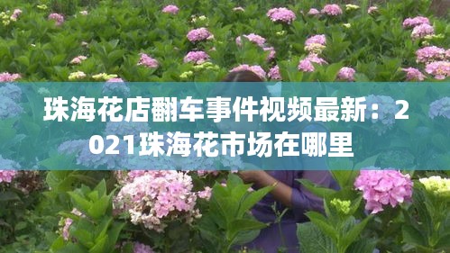 珠?；ǖ攴囀录曨l最新：2021珠?；ㄊ袌?chǎng)在哪里 