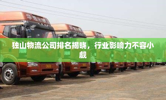 獨(dú)山物流公司排名揭曉，行業(yè)影響力不容小覷