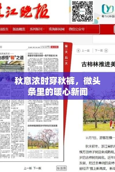 秋意濃時穿秋褲，微頭條里的暖心新聞