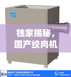 獨(dú)家揭秘，國(guó)產(chǎn)絞肉機(jī)行業(yè)巨頭排名及影響力評(píng)估