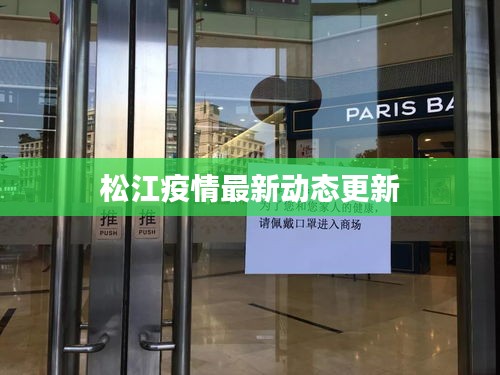松江疫情最新動態(tài)更新