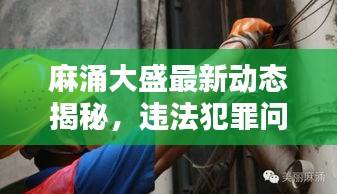 麻涌大盛最新動態(tài)揭秘，違法犯罪問題成焦點(diǎn)