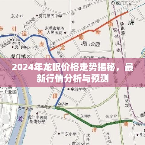 2024年龍眼價(jià)格走勢(shì)揭秘，最新行情分析與預(yù)測(cè)