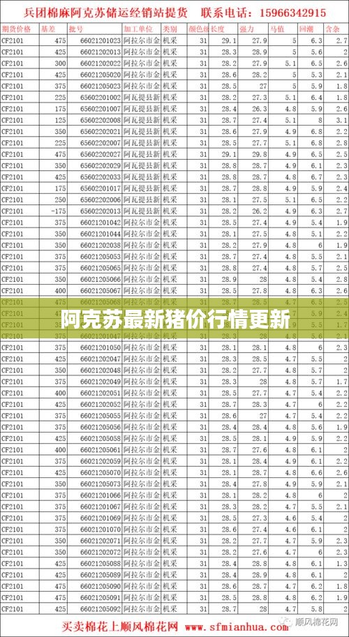 阿克蘇最新豬價(jià)行情更新