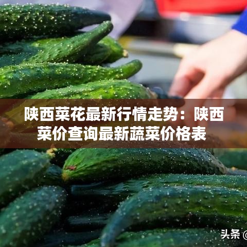 人貴自立 第3頁(yè)