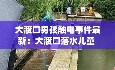 大渡口男孩觸電事件最新：大渡口落水兒童 