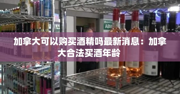 加拿大可以購買酒精嗎最新消息：加拿大合法買酒年齡 