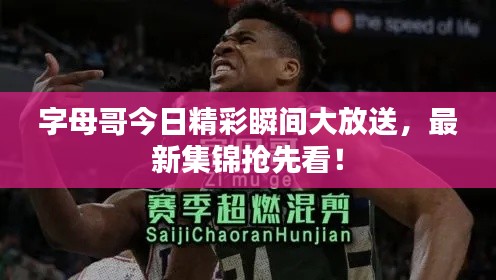 字母哥今日精彩瞬間大放送，最新集錦搶先看！