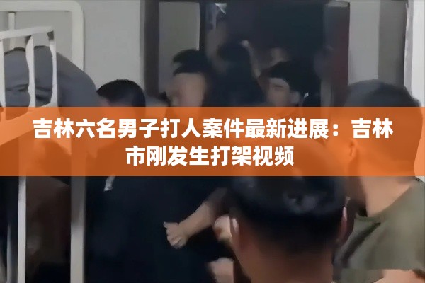 吉林六名男子打人案件最新進(jìn)展：吉林市剛發(fā)生打架視頻 