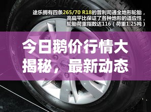 眼空四海 第2頁