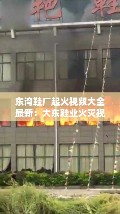 東灣鞋廠起火視頻大全最新：大東鞋業(yè)火災視頻 