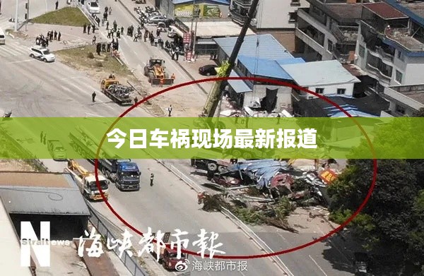 衣不兼采 第3頁
