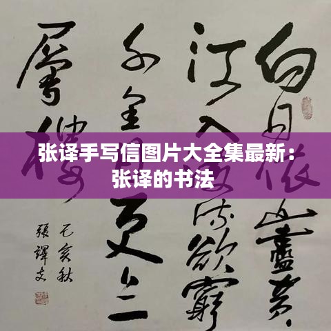 張譯手寫信圖片大全集最新：張譯的書法 