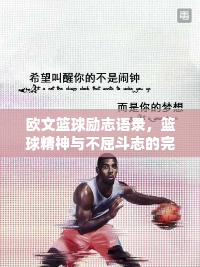歐文籃球勵志語錄，籃球精神與不屈斗志的完美融合