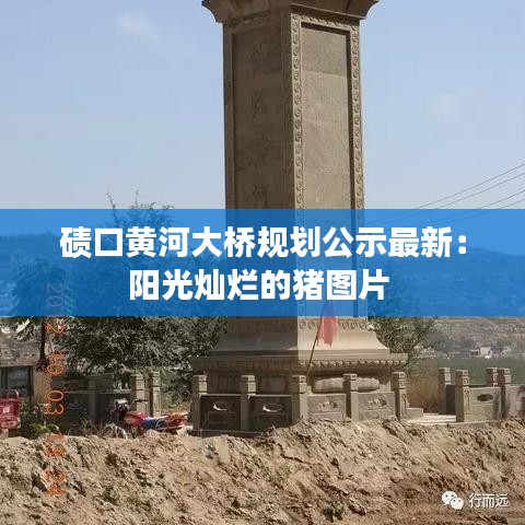 磧口黃河大橋規(guī)劃公示最新：陽(yáng)光燦爛的豬圖片 