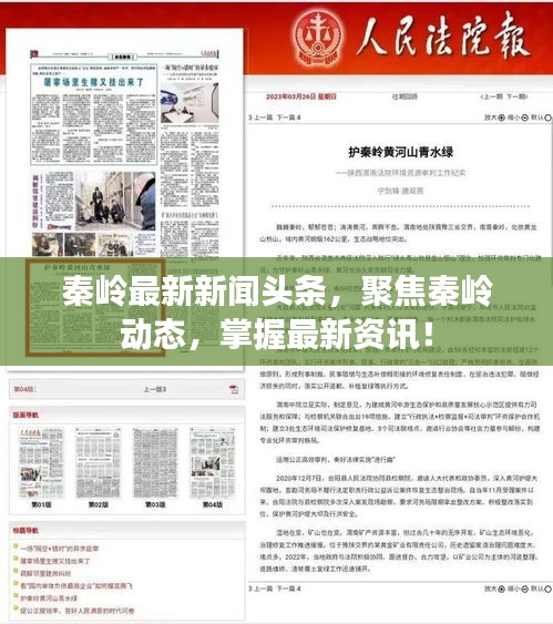 秦嶺最新新聞?lì)^條，聚焦秦嶺動(dòng)態(tài)，掌握最新資訊！
